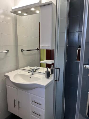 a bathroom with a sink and a shower at Ferienwohnung in Binz an der Granitz in Binz