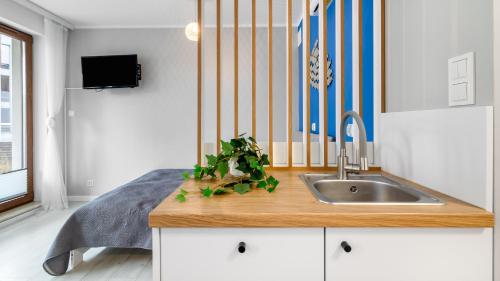 a kitchen counter with a sink and a railing at STEGNA PARK B Apartamenty PIAMOLA in Stegna