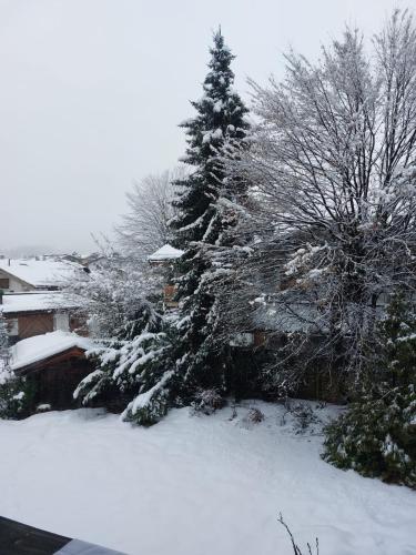un patio cubierto de nieve con árboles y una casa en Flow In Chill Out, en Kitzbühel