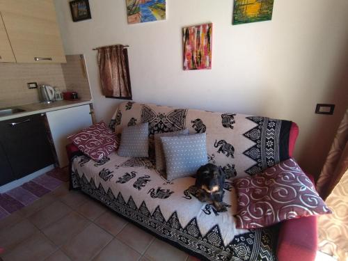 - un chien assis sur un canapé dans le salon dans l'établissement La Casuzza di Lara, à Sciacca