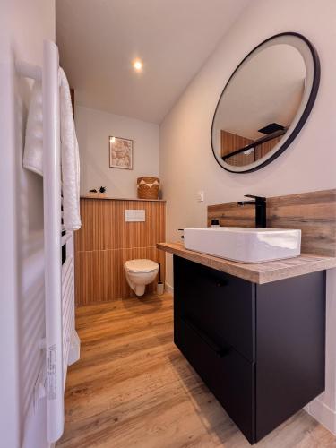 une salle de bain avec un lavabo et un miroir dans l'établissement Au Roupillon du Canal, à Redon