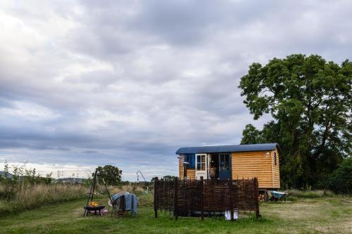 a tiny house with a blue roof in a field at Toadland Shepherd Huts in Durham