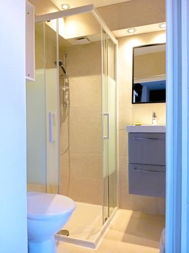 une salle de bain avec une douche, des toilettes et un lavabo dans l'établissement Le Rêve de l'Ours, à Annecy