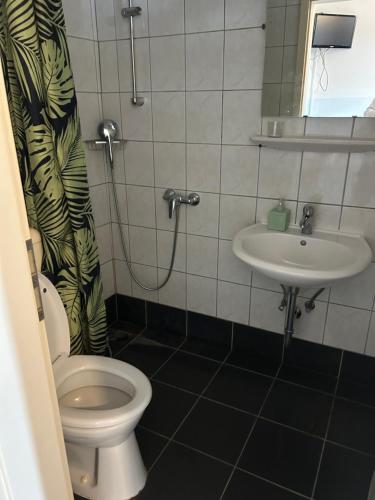 a bathroom with a toilet and a sink at Pension Nürnberg in Nürnberg
