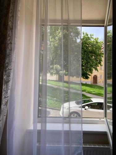 Zahrada ubytování Apartmán u Hradu
