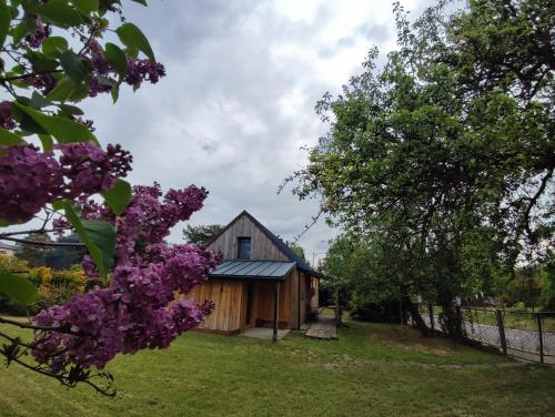 Zahrada ubytování TRAFO DOM - Podlesice 74