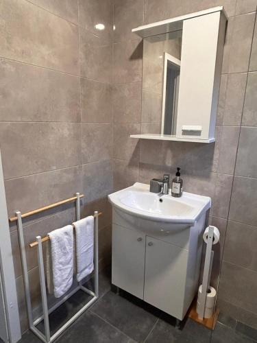 a bathroom with a white sink and a mirror at Apartman Daisy in Slatine