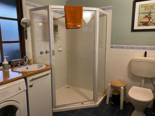 a bathroom with a shower and a sink and a toilet at Sheoak Lodge in Penneshaw