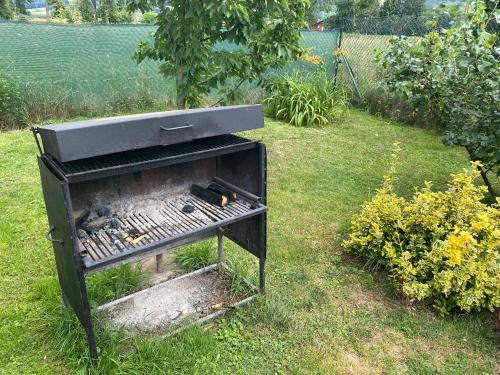 a barbecue grill in the grass in a yard at Apartmány U Jeřábků in Rapotín