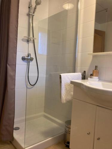 a bathroom with a shower and a sink at casa di Rosa in Patrimonio