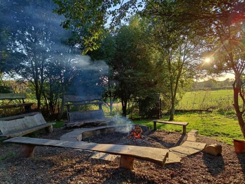 a fire pit in a park with smoke coming out at Silver Airstream Glamping & Rental in Chichester