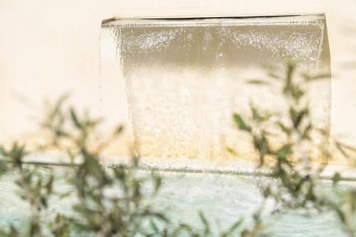 un vasetto di vetro riempito d'acqua accanto ad alcune piante di Atrium Suites Mallorca a Porreres