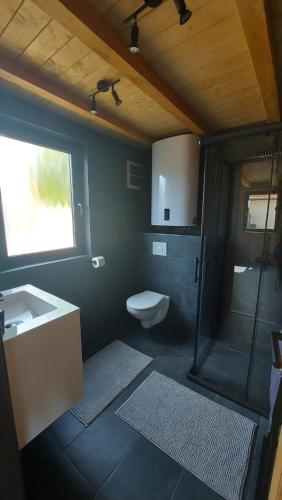 een badkamer met een toilet, een douche en een wastafel bij Z-Woods in Maklár