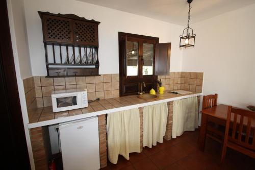 cocina con encimera y microondas en Apartamento Rural Las Palmeras, en Almonaster la Real