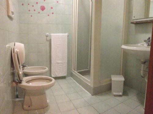 ダルミネにあるHotel Dainaのバスルーム(トイレ、洗面台付)