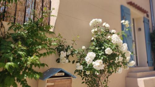 Une bande de fleurs blanches suspendues à un bâtiment dans l'établissement Petite pause à Pourrières, appartement 40m2, à Pourrières