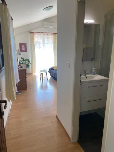 a kitchen with a sink and a counter at Apartments TENA in Pula