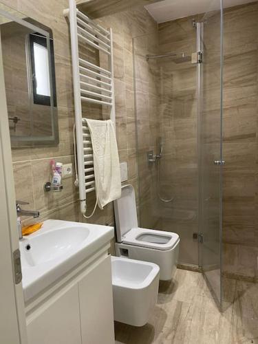 a bathroom with a toilet and a sink and a shower at Apartment in Tirana with view in Tirana