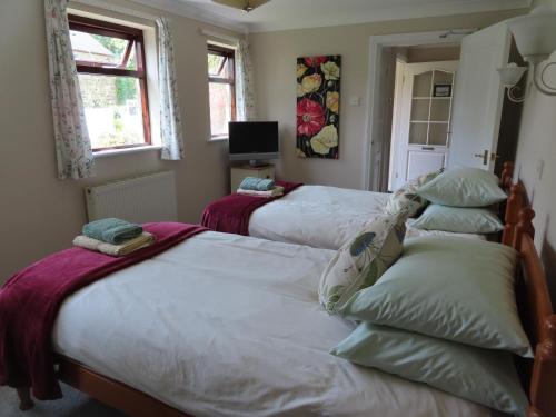 um quarto com duas camas e uma televisão e duas janelas em Thie-Ny-Soalt em Colby