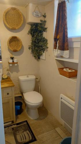 La salle de bains est pourvue de toilettes et d'une plante murale. dans l'établissement Appartement entre mer et gardiole, à Frontignan