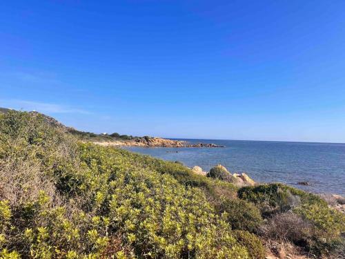 a view of the ocean from the shore of a beach at Splendida villa unifamiliare Posada in Torpè