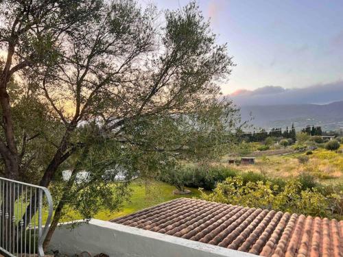 a view of a roof of a house with a tree at Splendida villa unifamiliare Posada in Torpè