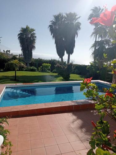 Kolam renang di atau dekat dengan Villa Carioca - with private pool, marvelous garden and amazing ocean view