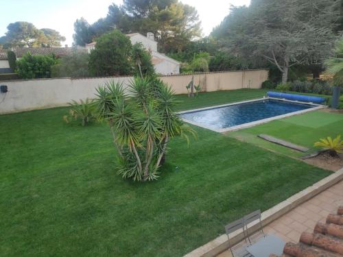 une cour avec un petit palmier à côté d'une piscine dans l'établissement Maison avec piscine proche plage, à Six-Fours-les-Plages