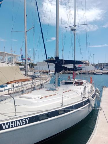 Velero Valencia Whimsy