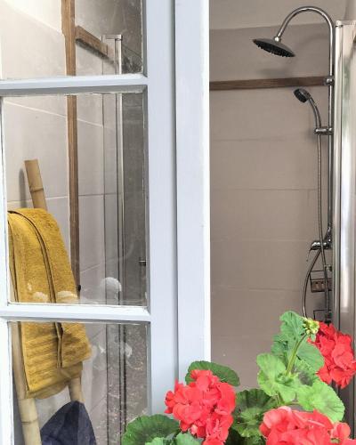 une fenêtre avec des fleurs rouges à côté d'une douche dans l'établissement Annexe du pont de la Charente, à Châteauneuf-sur-Charente