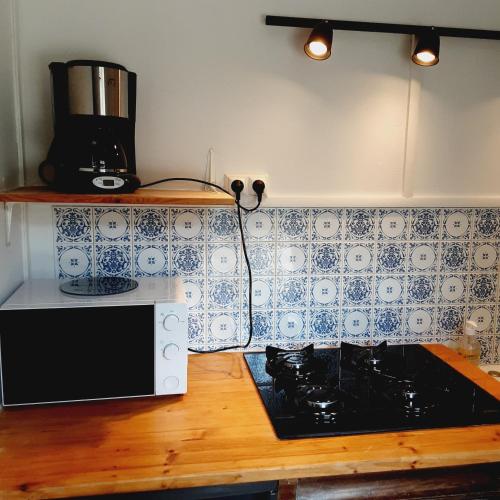 une cuisine avec une cuisinière et un micro-ondes dans l'établissement Annexe du pont de la Charente, à Châteauneuf-sur-Charente