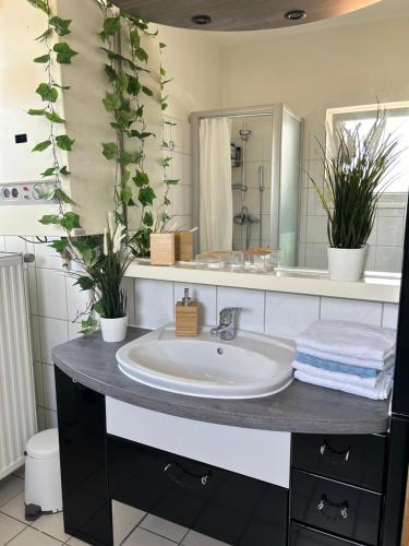 a bathroom with a sink with two potted plants at Lidia Apartment in Celle