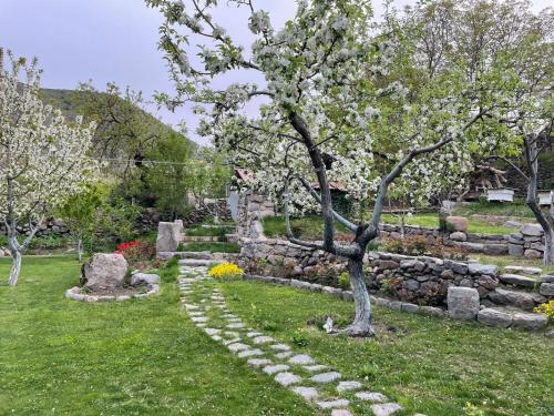 un jardín con un árbol y una pared de piedra en Hin Tun, en Artabuynkʼ