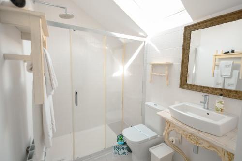 a bathroom with a shower and a sink and a toilet at Casa da Ribeira do Círio in Seia