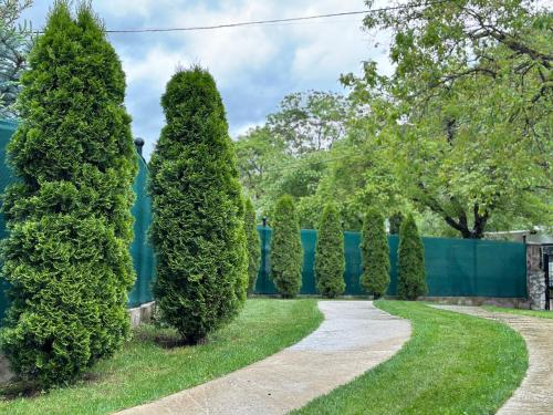 a row of trees in front of a blue fence at Casa Antonia in Chişcău