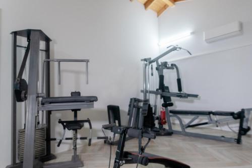 a gym with treadmills and exercise bikes in a room at Carpe Diem Moursia Studio in Liapades