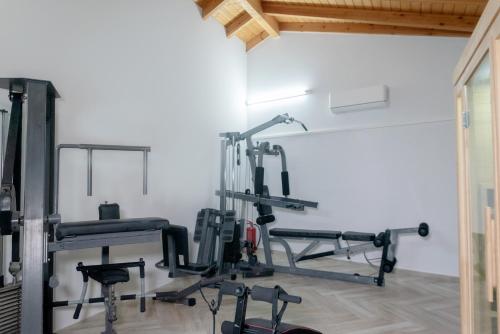 a gym with treadmills and machines in a room at Carpe Diem Moursia Studio in Liapades