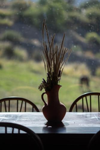 a vase with grass in it sitting on a table at Loma Puskana - Hostería in Cachí