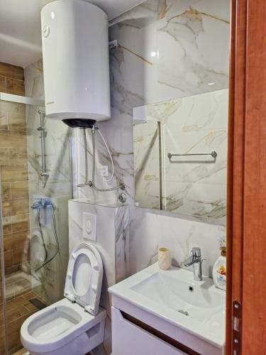 a bathroom with a toilet and a sink and a shower at Apartmani Cupic in Budva