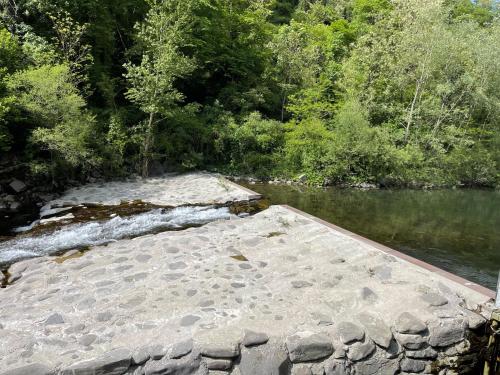 a bridge over a river with trees in the background at Contea del Piano in Piteglio