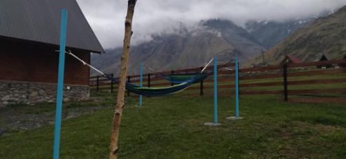 a hammock in a field next to a building at Cliffside cottage Kazbegi in Stepantsminda