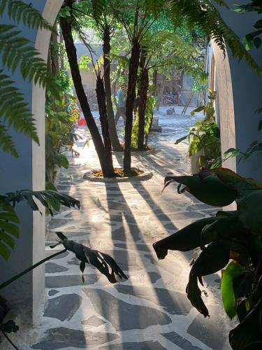 a shadows of trees and people on a sidewalk at Love House Homestay SAPA in Sa Pa