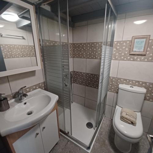 a bathroom with a shower and a toilet and a sink at Traditional house in the heart of Naxos in Dhamariónas