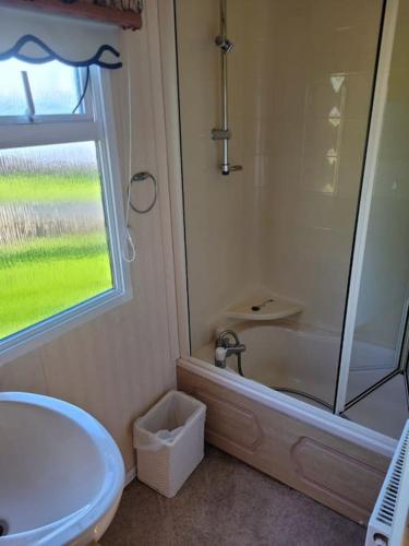 a bathroom with a shower and a toilet and a sink at Caravan at Harbour House in Moelfre