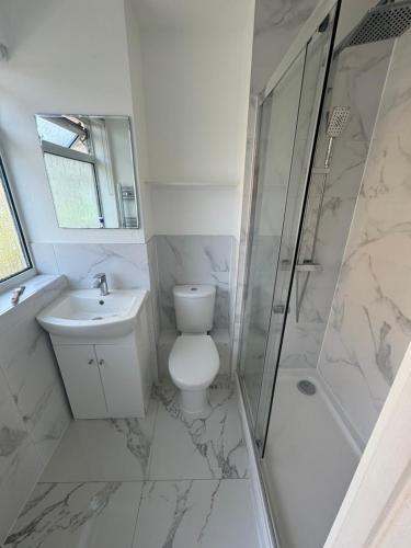 a bathroom with a toilet and a shower and a sink at Carmen’s Flat in London