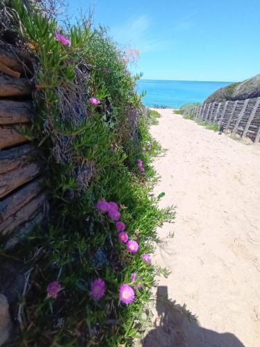 a hedge of flowers on the side of a beach at Villa Olga in Nebida
