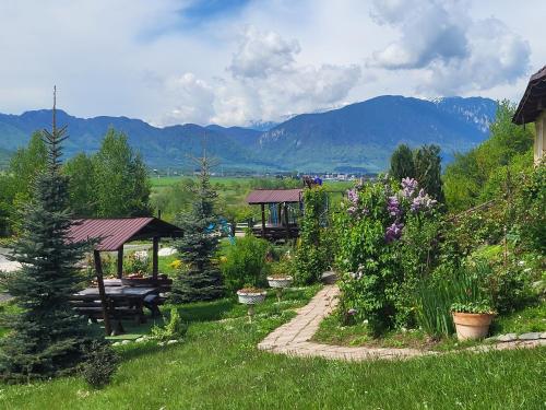 a garden with a picnic table and trees and mountains at Dumbrava Ursului in Zărneşti
