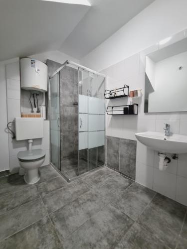 een badkamer met een douche, een toilet en een wastafel bij Apartman Mimi in Pula