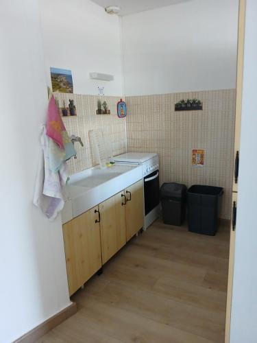 eine kleine Küche mit einer Spüle und einem Herd in der Unterkunft KAEL AR MARTOLED in Le Croisic