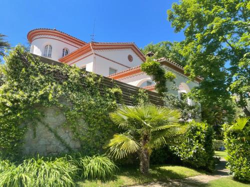 a building with a palm tree in front of it at Espectacular Casa Chateau en el centro de Olot in Olot